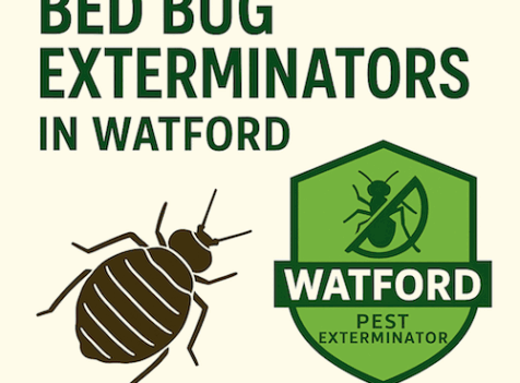 Why Do I Have Bed Bugs? My House Is Not Dirty