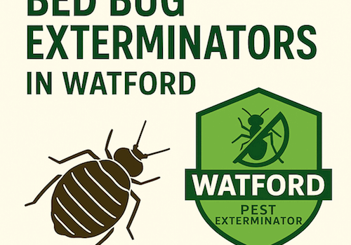 Why Do I Have Bed Bugs? My House Is Not Dirty