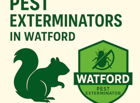 Emergency Squirrel Removal in Watford