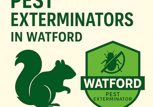 Emergency Squirrel Removal in Watford