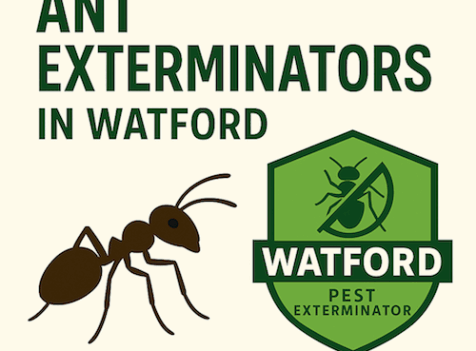 Ant eXTERMINATORS Watford