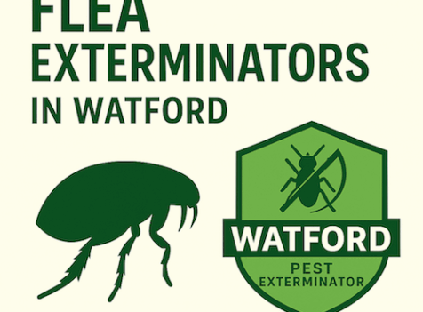 Do I Need End of Tenancy Flea Fumigation If My House Is Clean