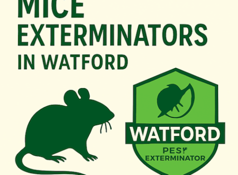 Emergency Mice Extermination in Watford