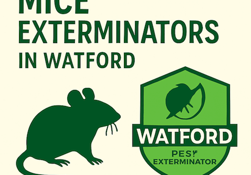 Emergency Mice Extermination in Watford